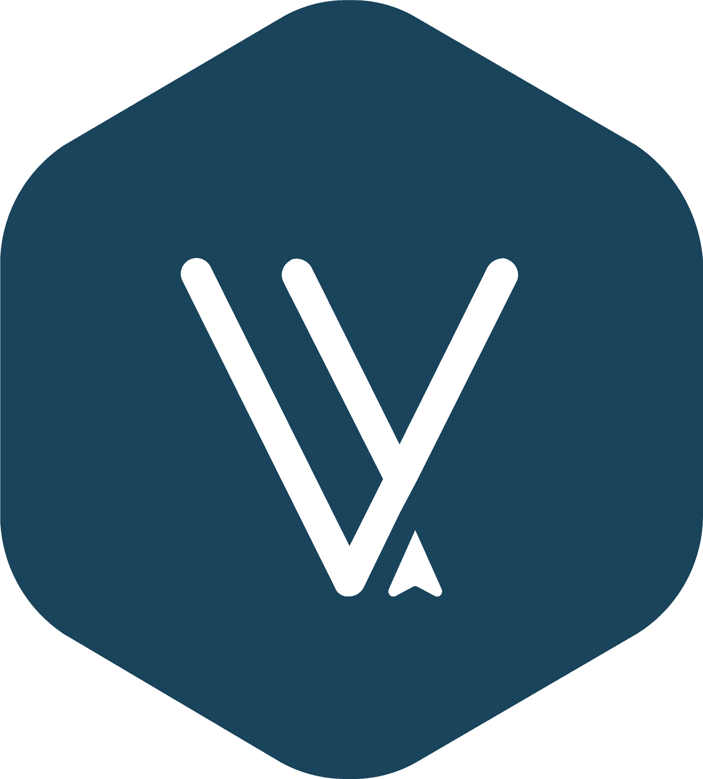 VIESA Logo