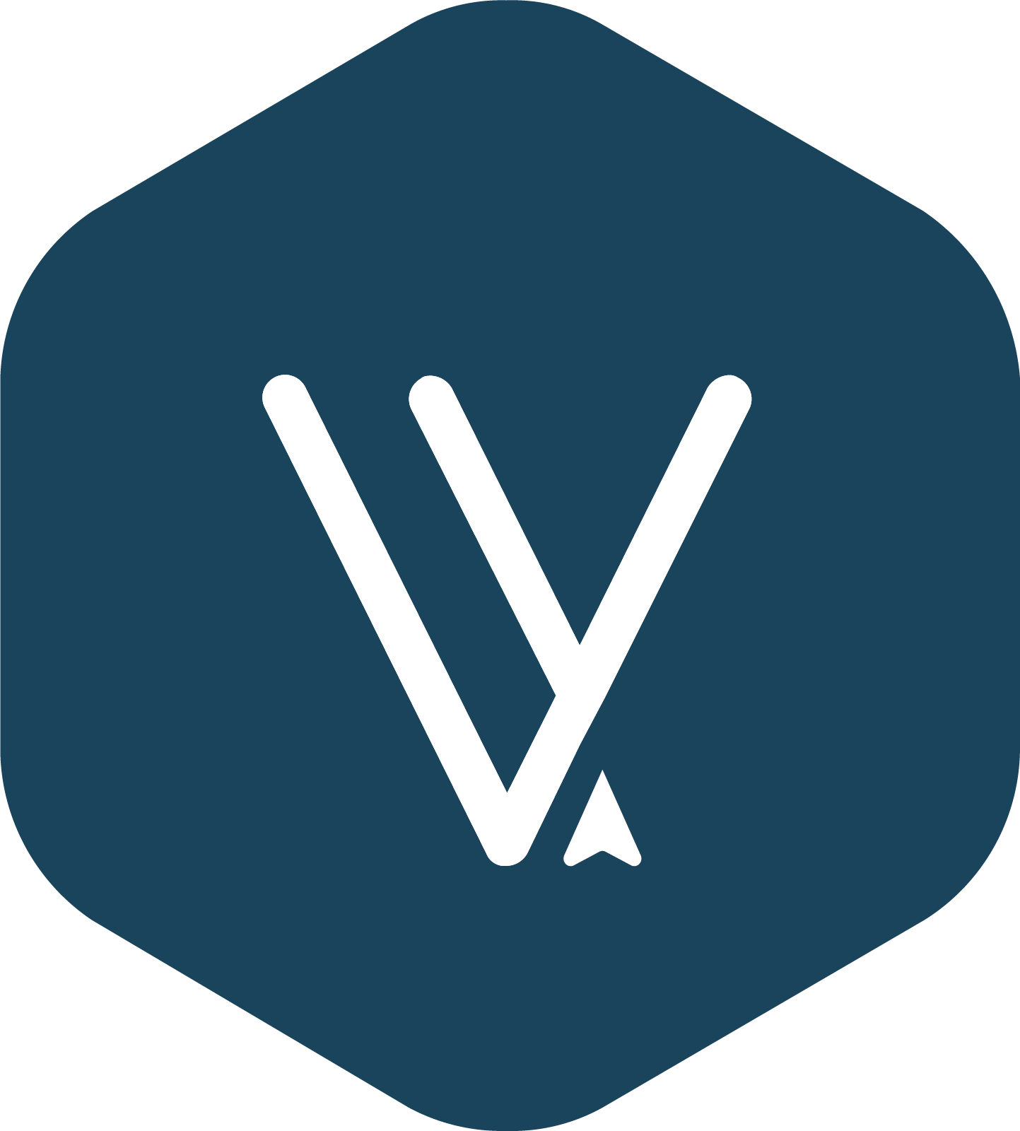 VIESA Automations Logo